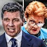 Eternity Of Pain Angus Taylor S Clearest Attack On Pauline Hanson P60e0o