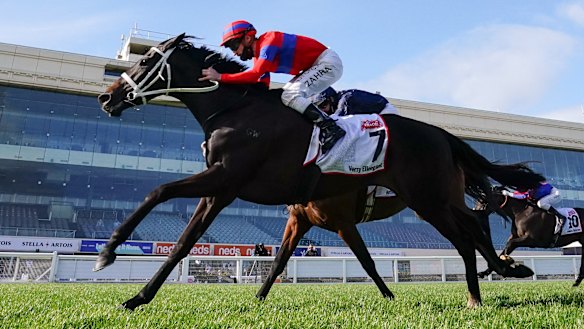 Verry Elleegant beats Anthony Van Dyck in the Caulfield Cup.