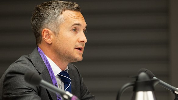 Zip Co chief executive Larry Diamond at a Senate committee hearing in Brisbane in January. 