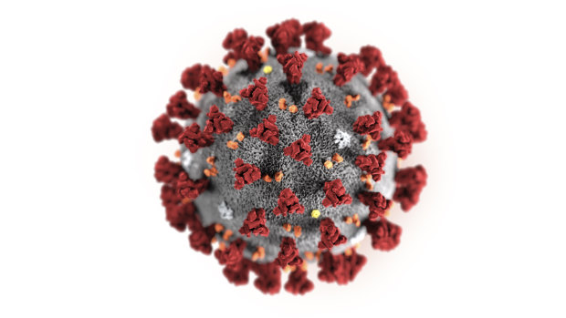This illustration provided by the US Centres for Disease Control and Prevention shows the 2019 Novel Coronavirus (2019-nCoV).