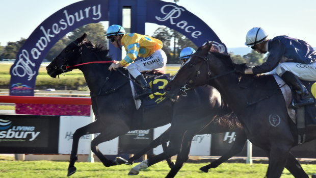 Back on track: Racing returns to Hawkesbury with an eight-race card on Thursday.