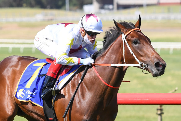 Vandoula Lass powered to victory at Sandown on debut and will look to earn a place in the Magic Millions Classic at Randwick on Saturday