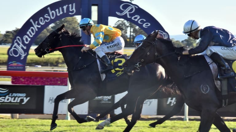 Back on track: racing returns to Hawkesbury with an eight-race card on Thursday.