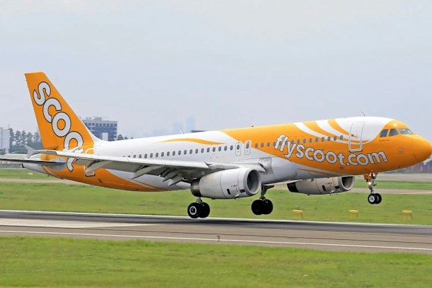 A Scoot plane takes off
