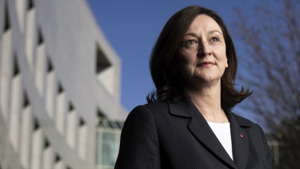 Incoming Liberal senator would back Voice to parliament if tweaked