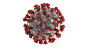 This illustration provided by the US Centres for Disease Control and Prevention shows the 2019 Novel Coronavirus (2019-nCoV).