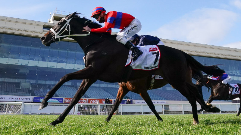 Melbourne Cup 2022 Horses Picked