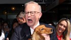 Albo swapped a baby for a sausage dog when posing for photos on the campaign trail on Tuesday.