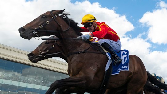 Transatlantic wins the Toorak Handicap at Caulfield during an impressive campaign.
