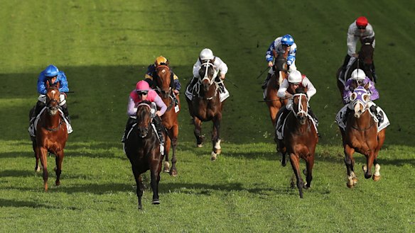 Trumbull charges away from his Civic Stakes rivals last start.