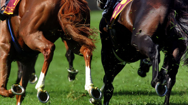  Coasting: Racing returns to Wyong today with eight races on a competitive card. 