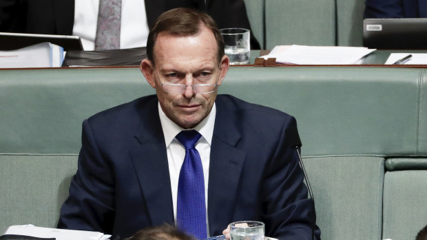 Tony Abbott says he plans to remain in public life for many years to come. 