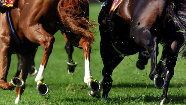 Racing returns to Grafton  on Friday.