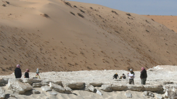 The research team searches the site for fossils and footprints.