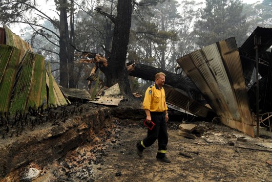 Wingello RFS Captain Mark Wilson checks the fire damage in the backyard of a home his brigade managed to save.