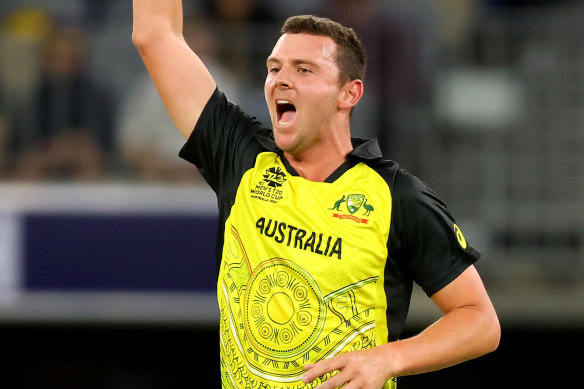 Josh Hazlewood says he will play in next year’s IPL.