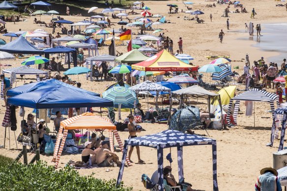 A sea of cabanas at Avoca Beach, NSW. 