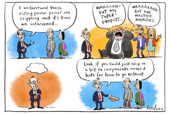 Illustration: Cathy Wilcox