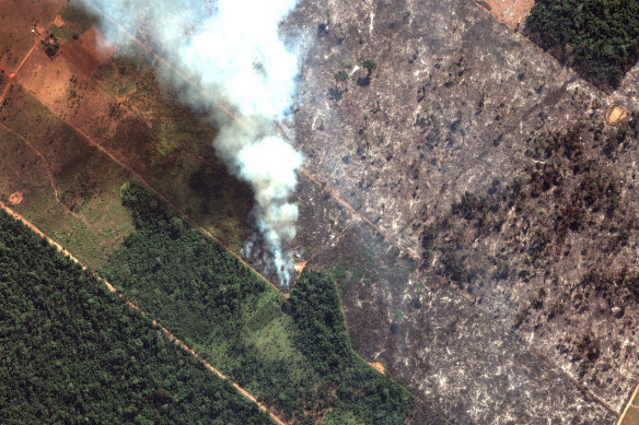 A satellite image of the Brazilian rainforest on August 15.