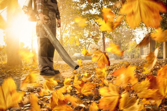 Leaf blowers are like a snow dome when you shake it hard. Who knows where the bits will land?
