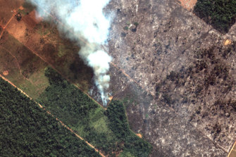 A satellite image of the Brazilian rainforest on August 15.
