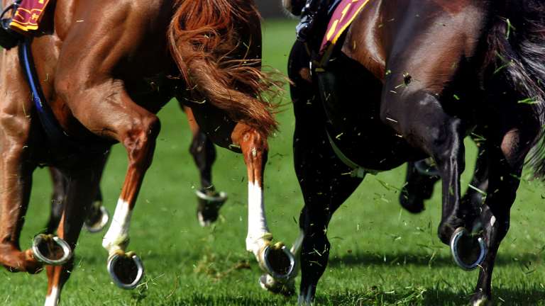 Gold: Racing returns to  the central west today for the Dubbo Cup meeting.