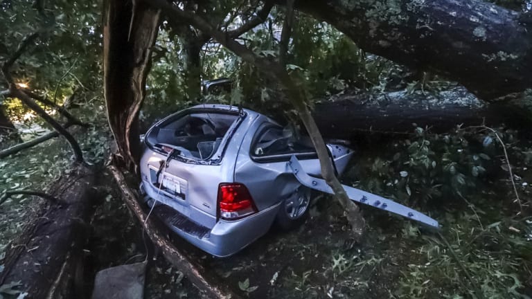 A woman survived being trapped in this car as Hurricane Michael battered Florida.