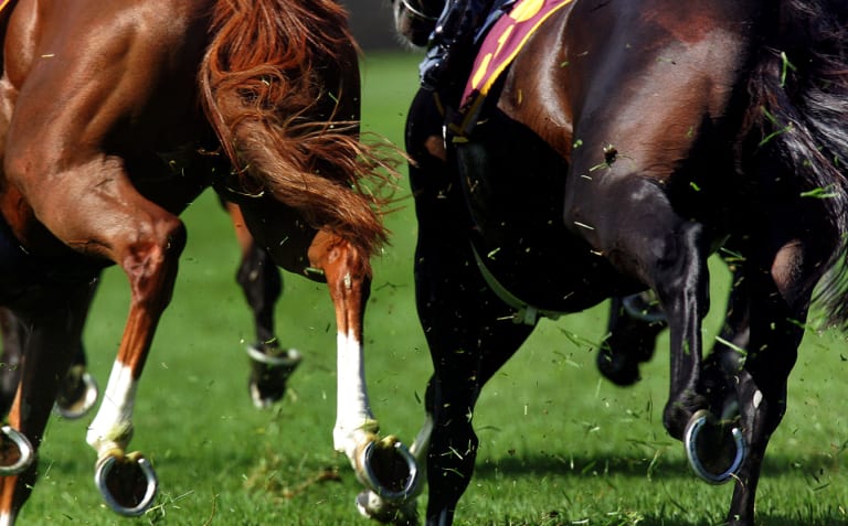A soft to heavy track is expected today at Wyong.