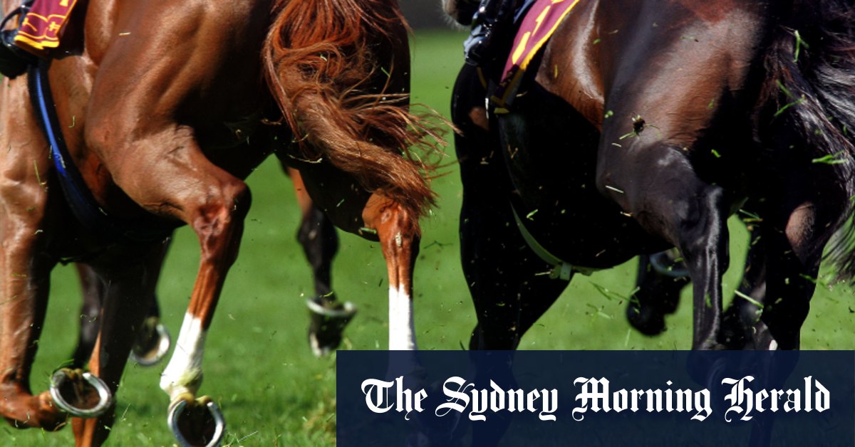 Race-by-race preview and tips for Grafton on Friday