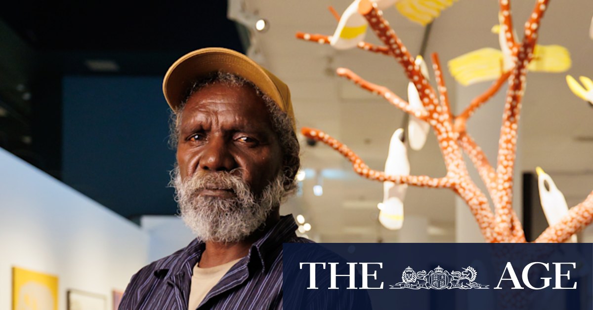 National Aboriginal and Torres Strait Islander Art Awards announced: Keith Wikmunea, Brenda L. Croft, Jimmy John Thaiday - Vimarsana News