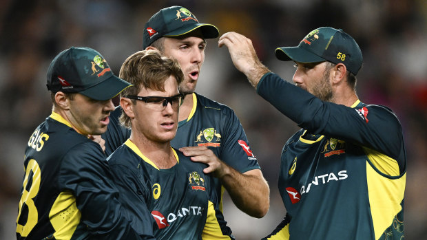 Hazlewood, Zampa pin New Zealand as ferocious Aussies claim T20 series