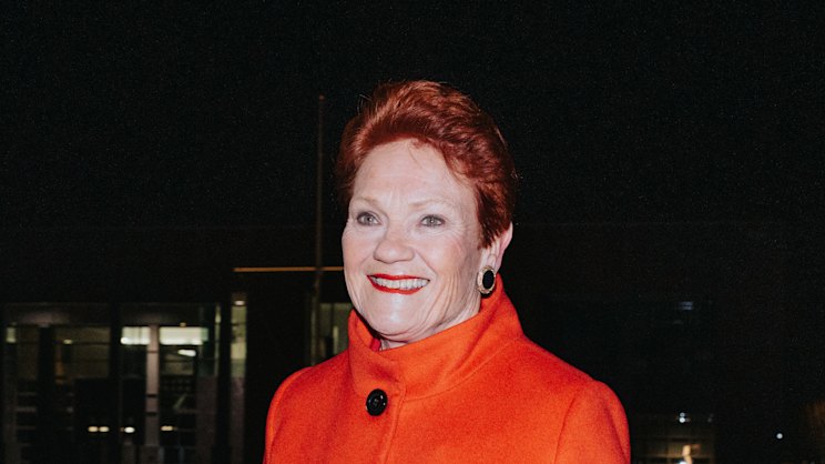 smh.com.au - Parnell Palme McGuinness - I have a confession to make about One Nation