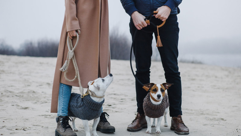 Why Many Young Couples Are Remaining Child Free