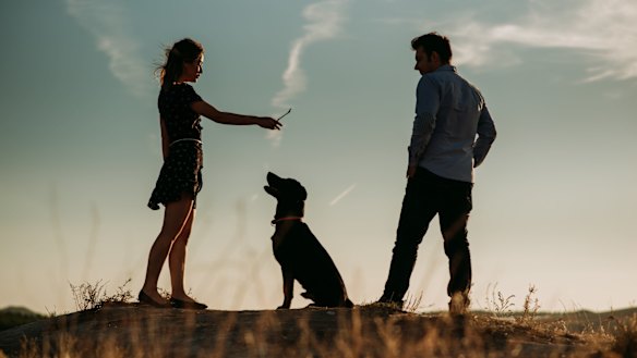 'There was something within Joe beyond understanding that neither of
us saw until much later.'