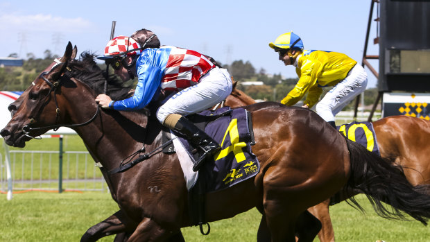 There are seven races scheduled for Mudgee today.