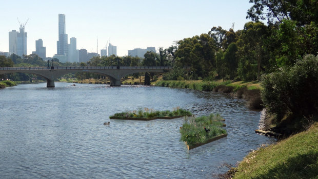 A digital artist impression of the proposed floating 'wetland' that would put local food waste to good use on the Yarra.