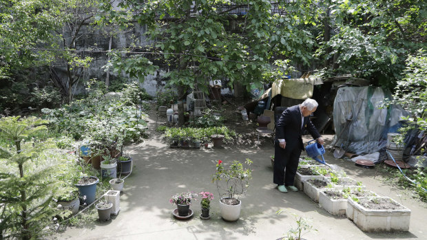 Kim Young-sik, 85, waters his garden after his interview in Seoul.