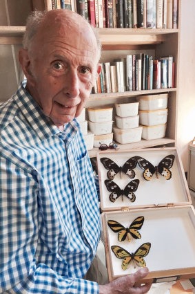 John Landy with some of his butterfly specimens.