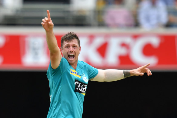 James Pattinson is weighing up a return to one of the Melbourne Big Bash teams next season.
