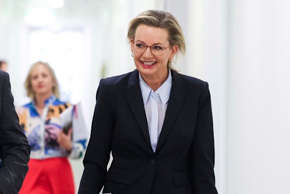 Sussan Ley arriving at the party room meeting on Wednesday. 