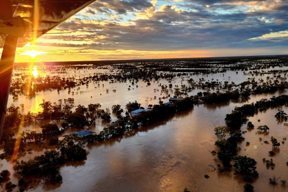 Flooding at Tenham Station, a beef and sheep enterprise amid the channel country in south-west Queensland.