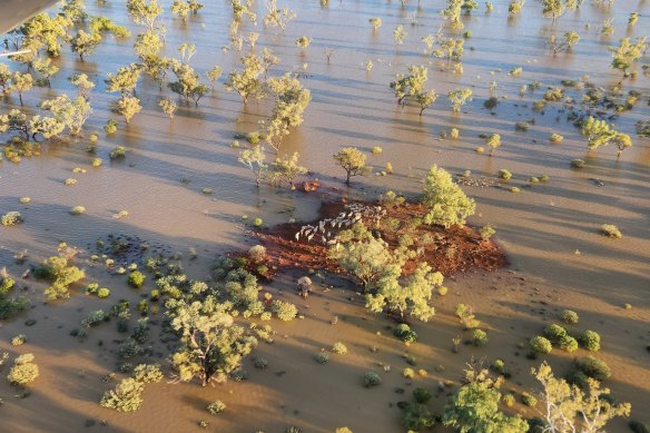 Parts of Queensland had record-breaking rain over the weekend and Premier David Crisafulli warned of widespread flooding.