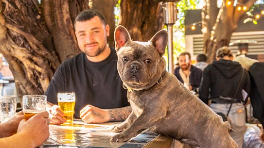 Many dogs enjoy a trip to their local.
