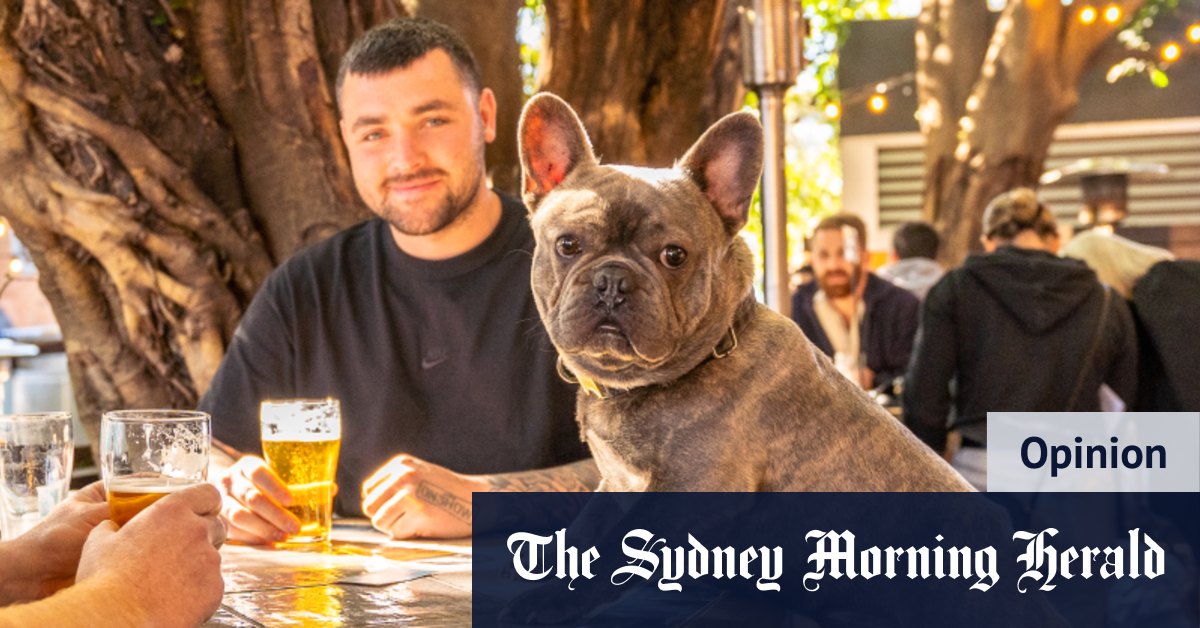 Fine, your dog can come to the pub. But I’m bringing my children and their rat