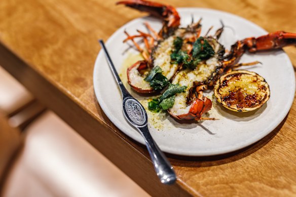 Marron with harissa and saltbush.