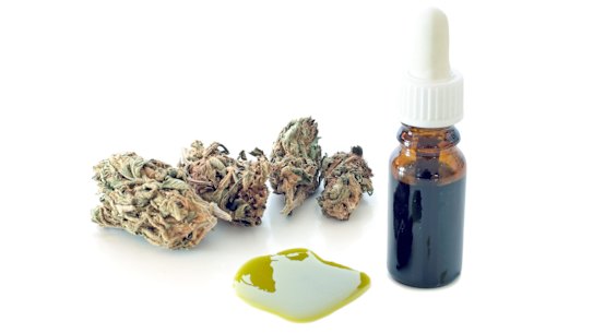 Health professionals support medicinal cannabis as a treatment option but many don't know enough about it.