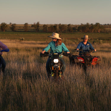 Sisters Bonnie, Matilda, Molly and Jemima take a late afternoon ride through an open paddock at ‘Old Bombine’.