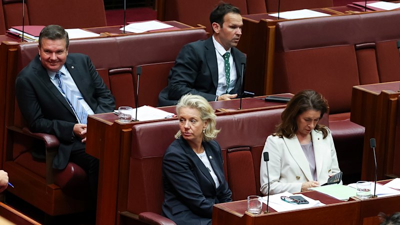 Three Nationals shadow ministers expected to resign from opposition frontbench