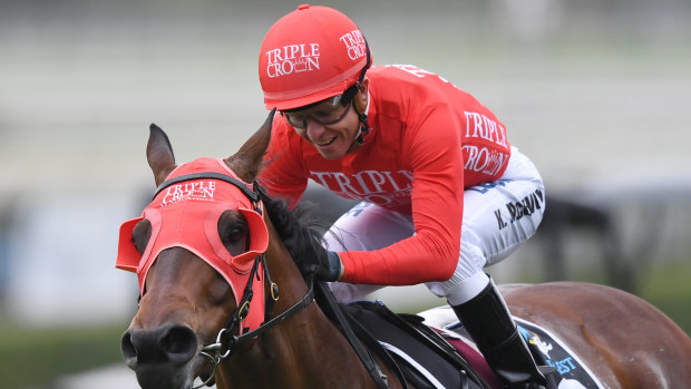 Redzel looks for a third Concorde Stakes win on Saturday against a field of flyers.