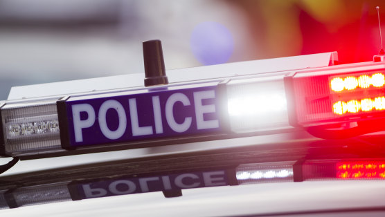 A woman has been charged after allegedly killing a dog in Sydney's inner west on Saturday.